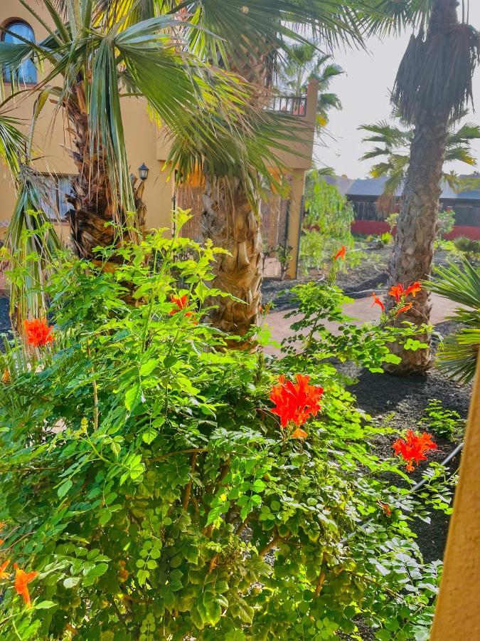 קורלחו Paradise House מראה חיצוני תמונה